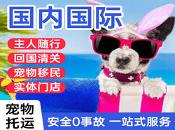 牡丹江航空快运国际宠物托运 【国